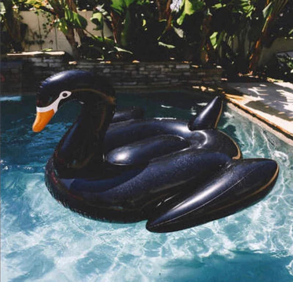 Inflatable black swan Float
