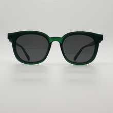 Load image into Gallery viewer, FANCY SUNGLASSES
